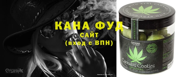 молекула духа Арсеньев