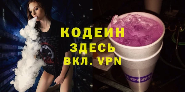 молекула духа Арсеньев