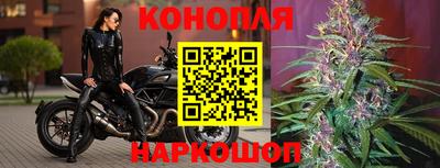 дживик Новокубанск