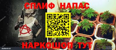 дживик Новокубанск