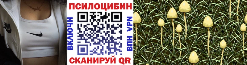 Псилоцибиновые грибы GOLDEN TEACHER Пермь