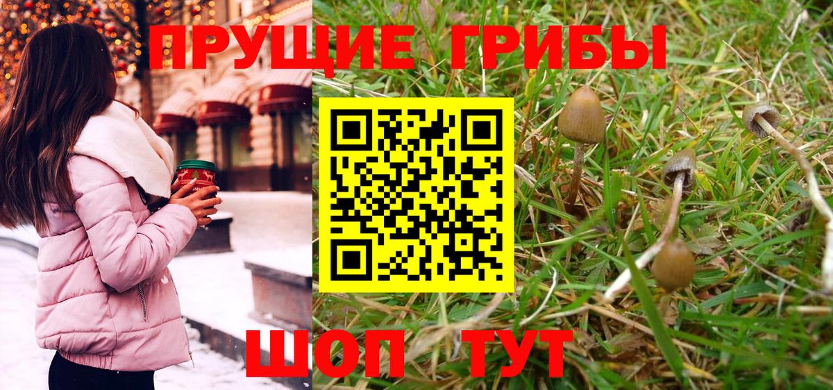 Галлюциногенные грибы Psilocybe  Вход с VPN  Пермь 