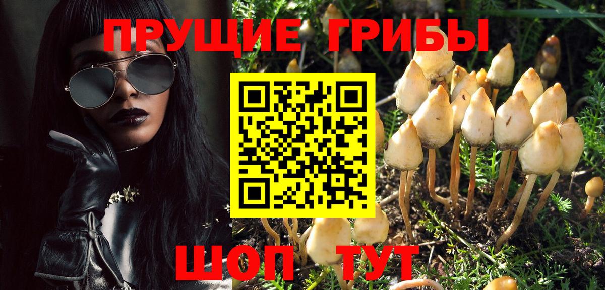 Псилоцибиновые грибы GOLDEN TEACHER Пермь